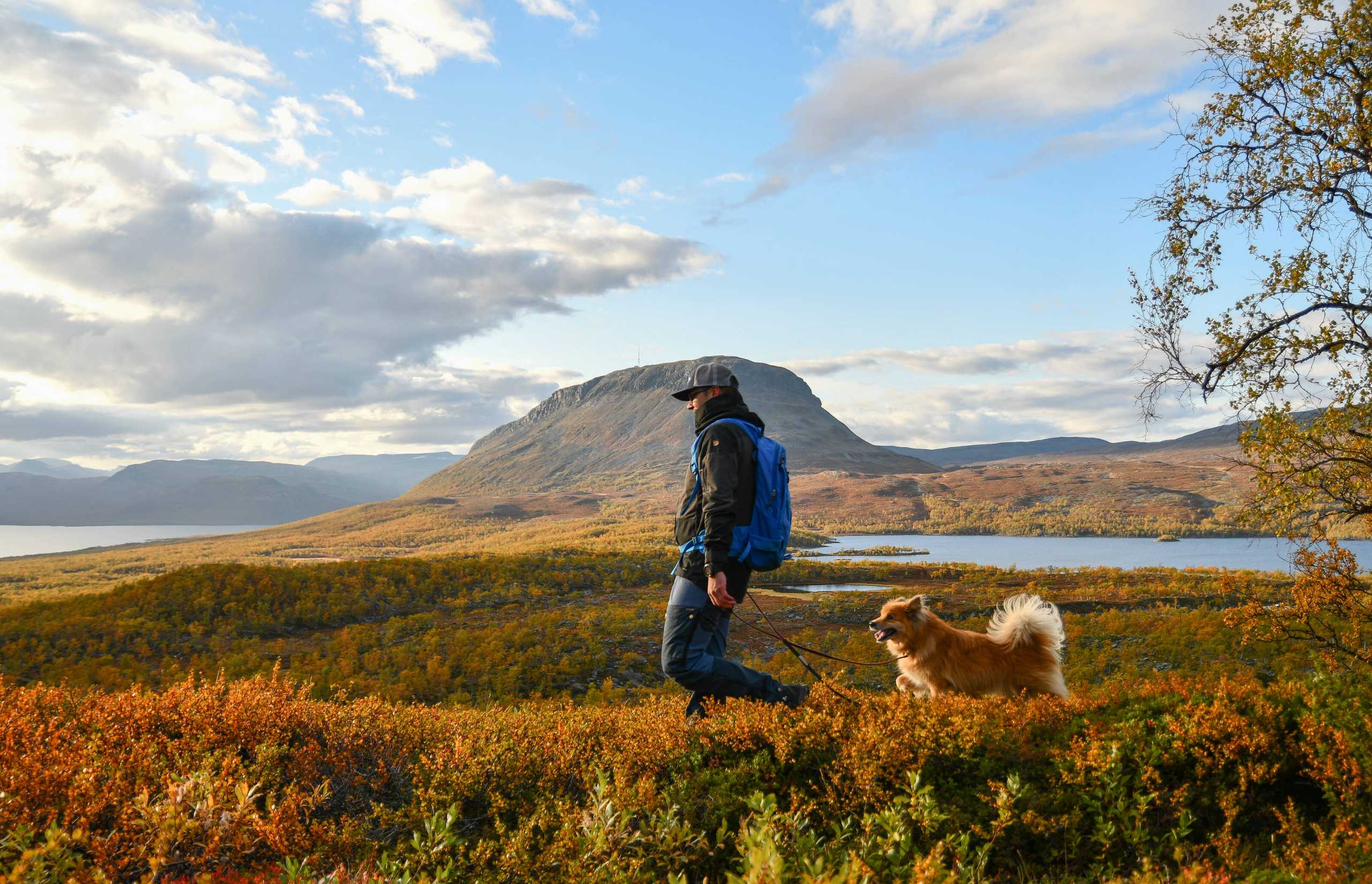 Autumn in Finland | Credit: Suvi Mansikkasalo