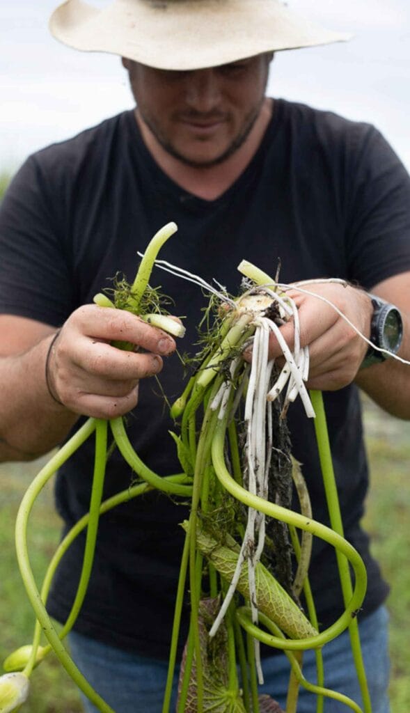 Bamurru Plains culinary safari