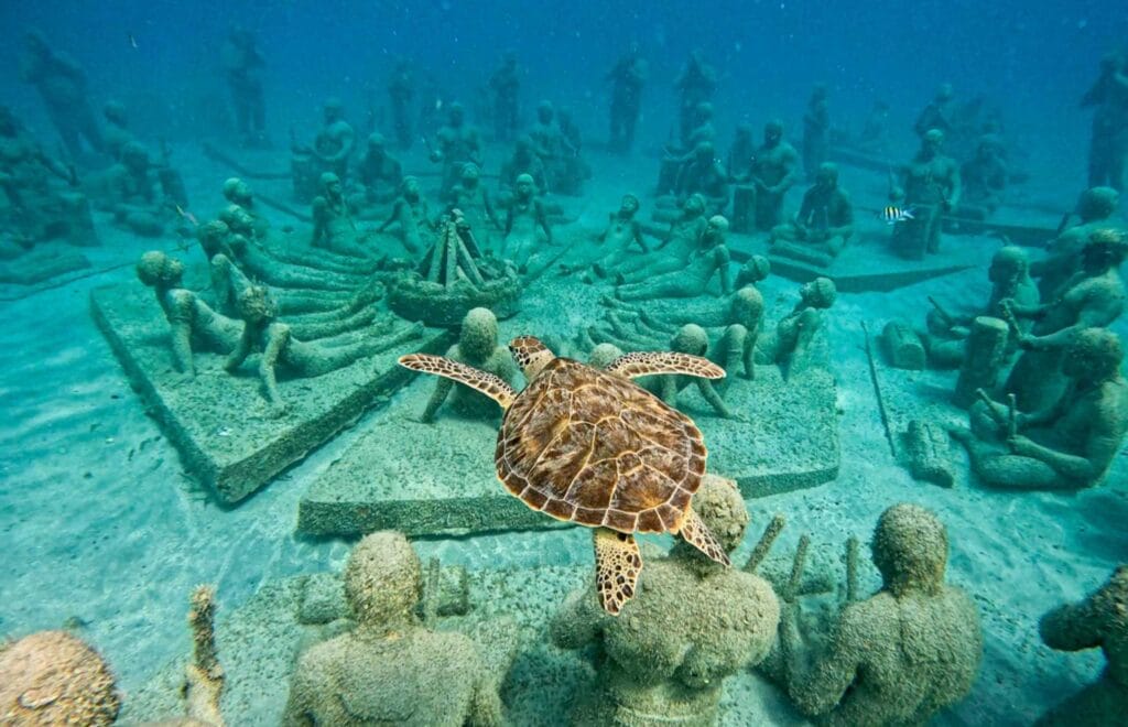 Sint Maarten | Credit: Under SXM