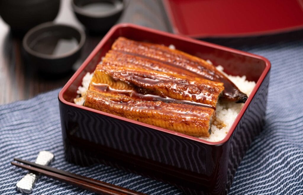 Unagi, grilled eel rice