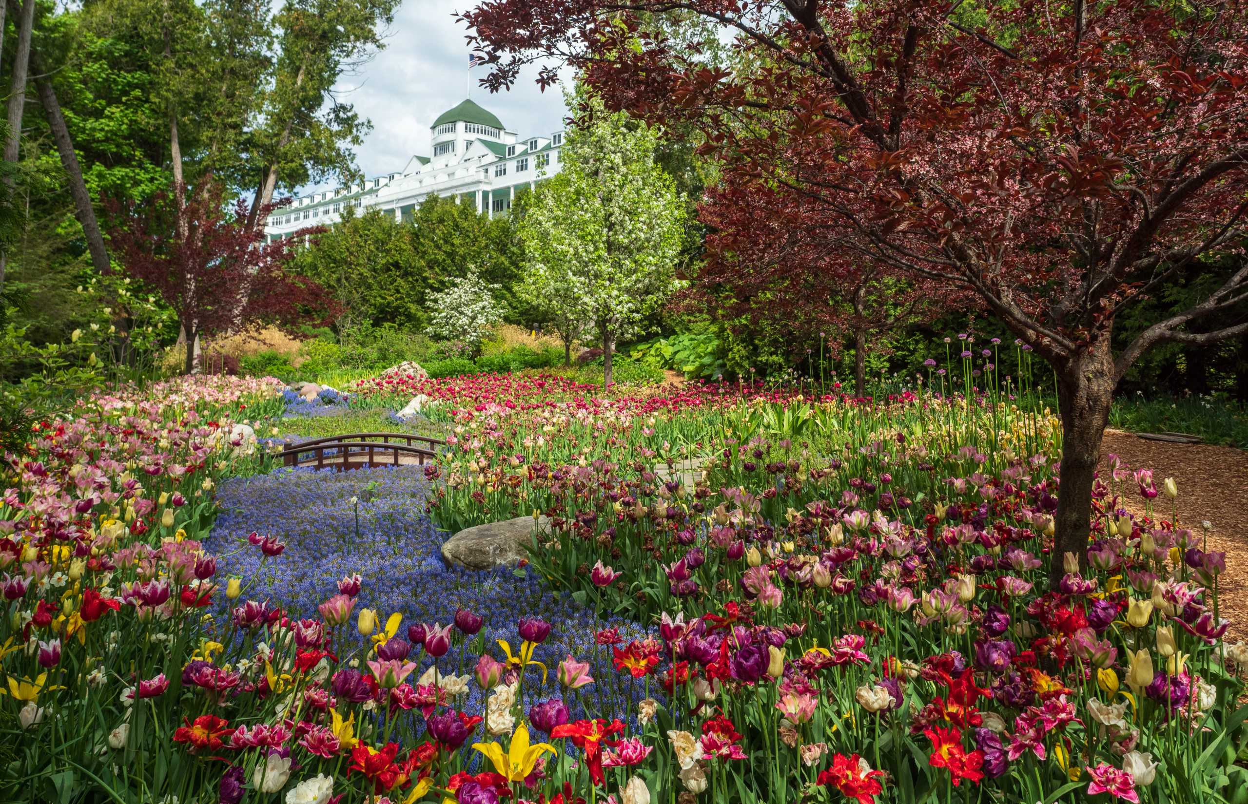 Secret Garden of the Grand Hotel