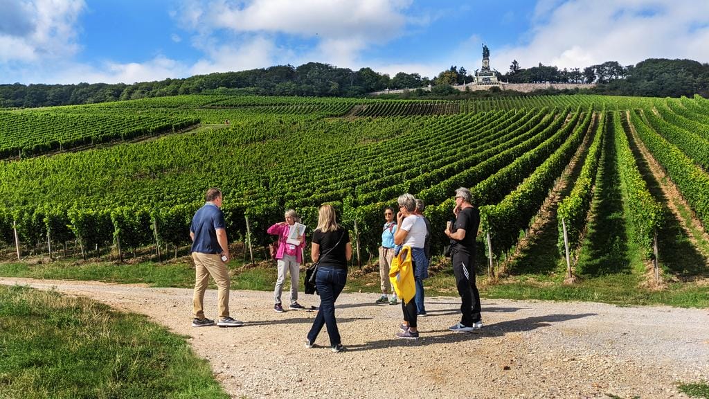 Vineyard hike, Rüdesheim | Image: AmaWaterways