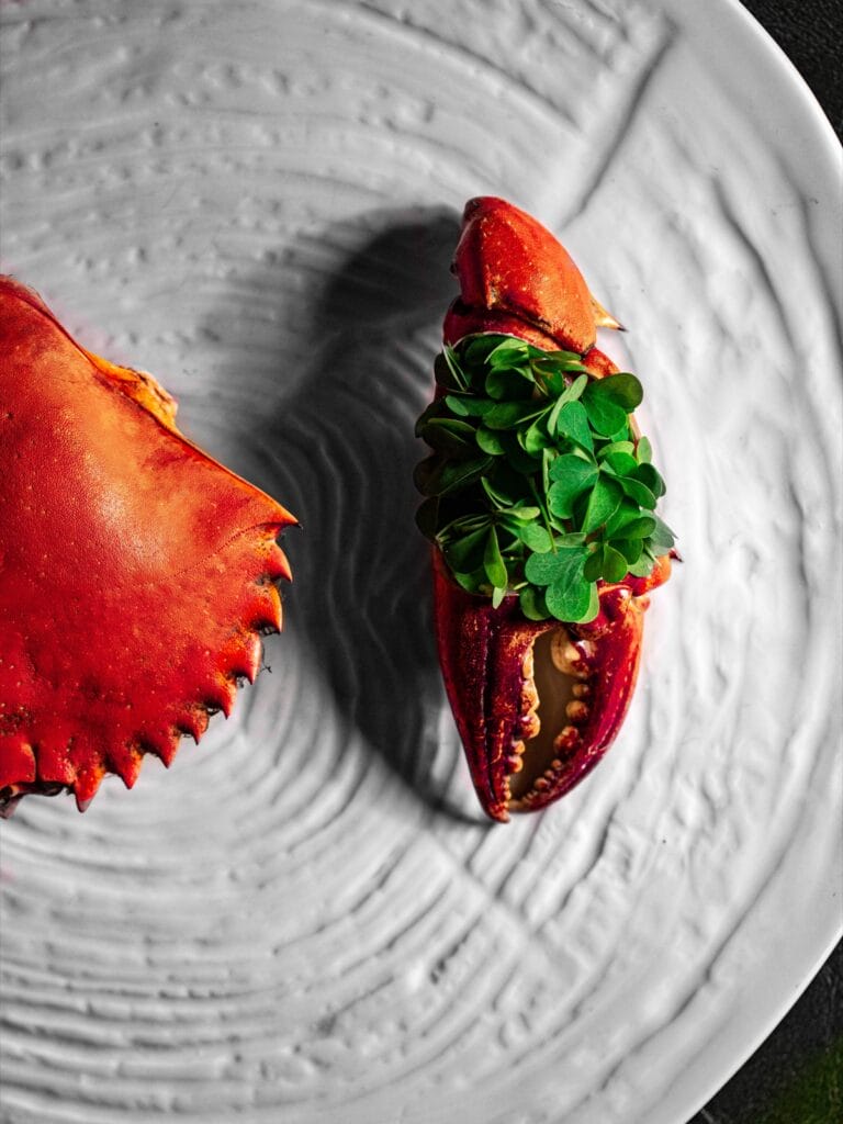 Potong | Signature Evolution Crab | Supplied