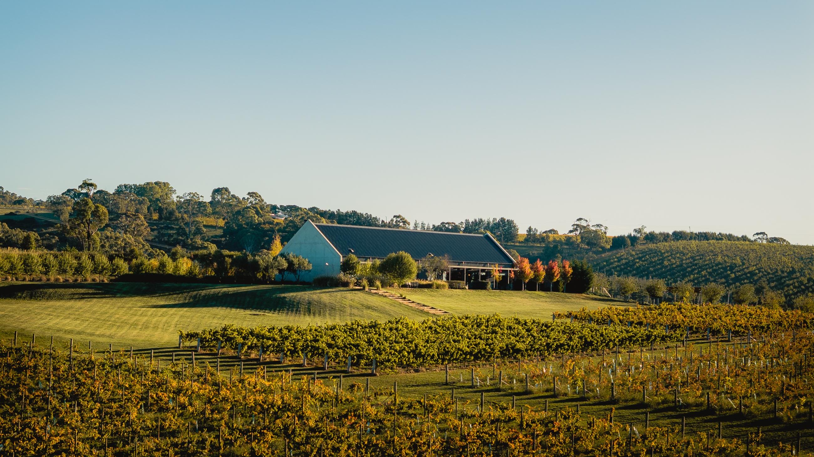 The Australian venues elevating Champagne culture