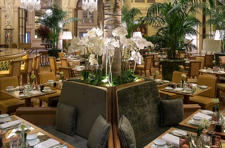 The Palm Court, The Plaza Hotel, New York