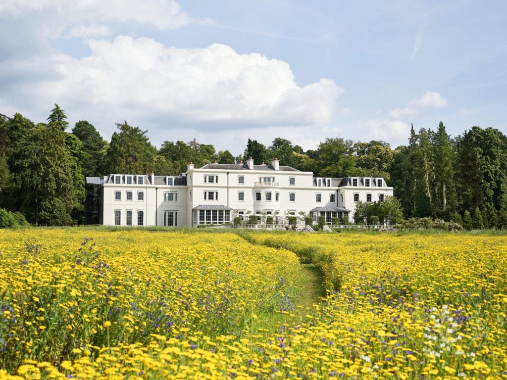 Coworth Park wildflower meadow, Ascot. Credit: Dorchester Collection