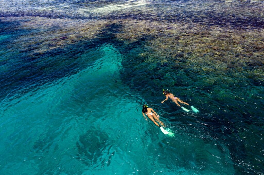 Snorkeling activity at Fiji's coral reefs.
Sheraton Resort & Spa, Tokoriki Island