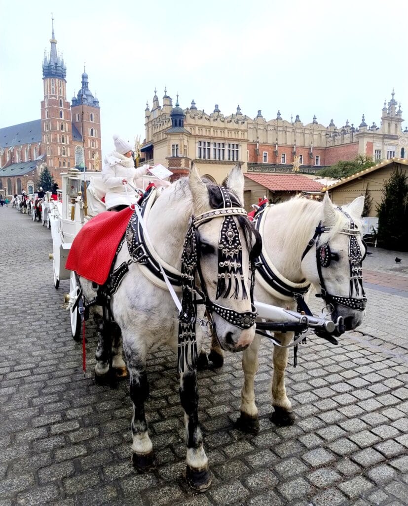 Tourist carriage in the Main Market Square