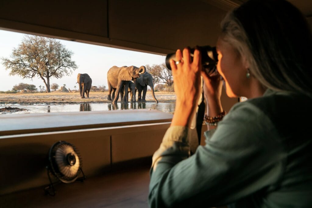 A sunken photographic hide at Linkwasha Camp in Zimbabwe, offering close-up, eye-level views of wild African elephants