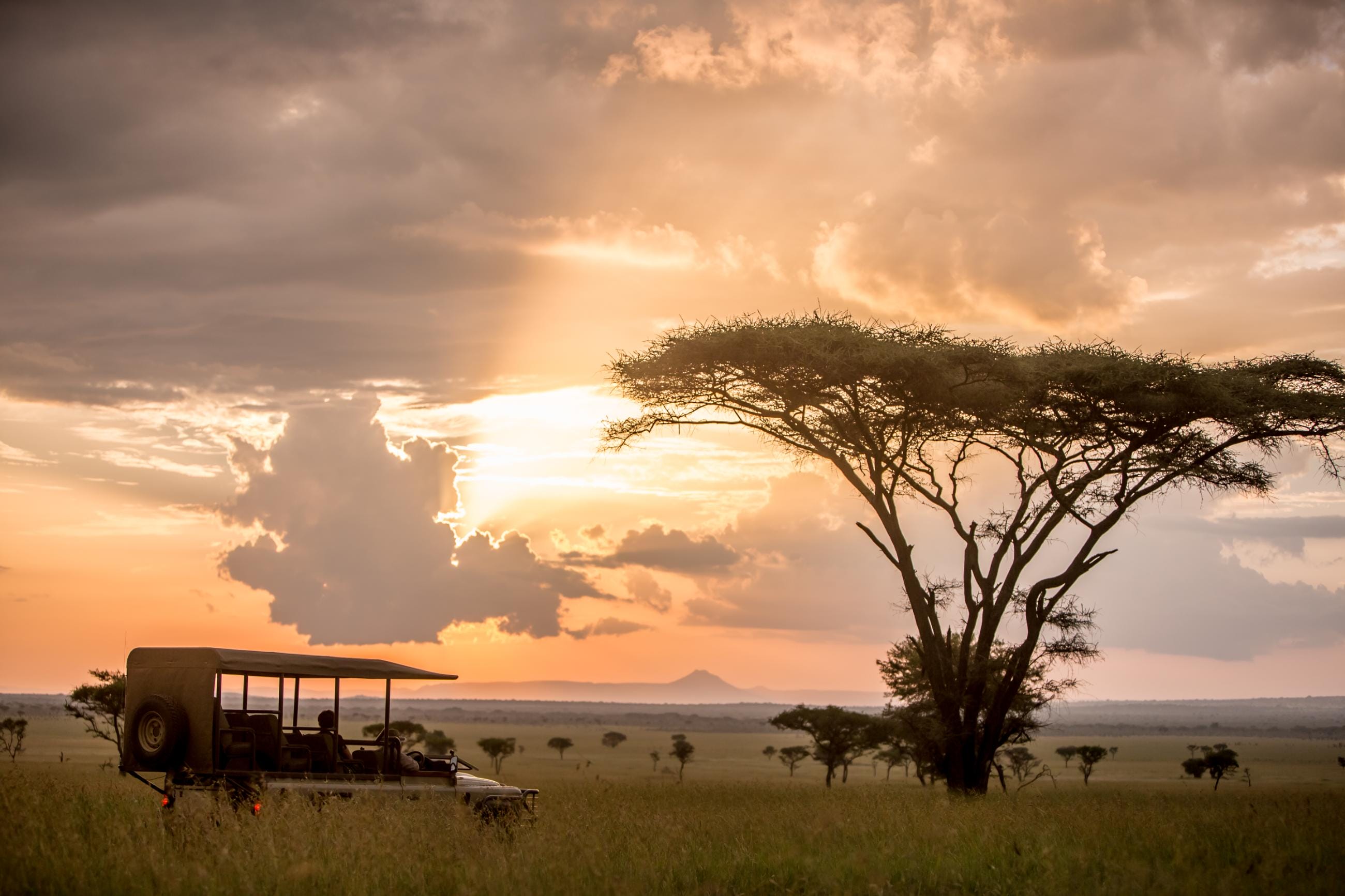 Where to go on the best safari in Africa: Luxury lodges by region