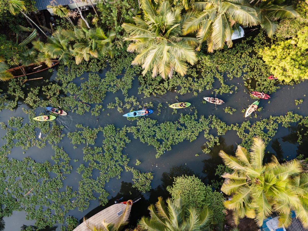 Canoeing through the Kerala backwaters