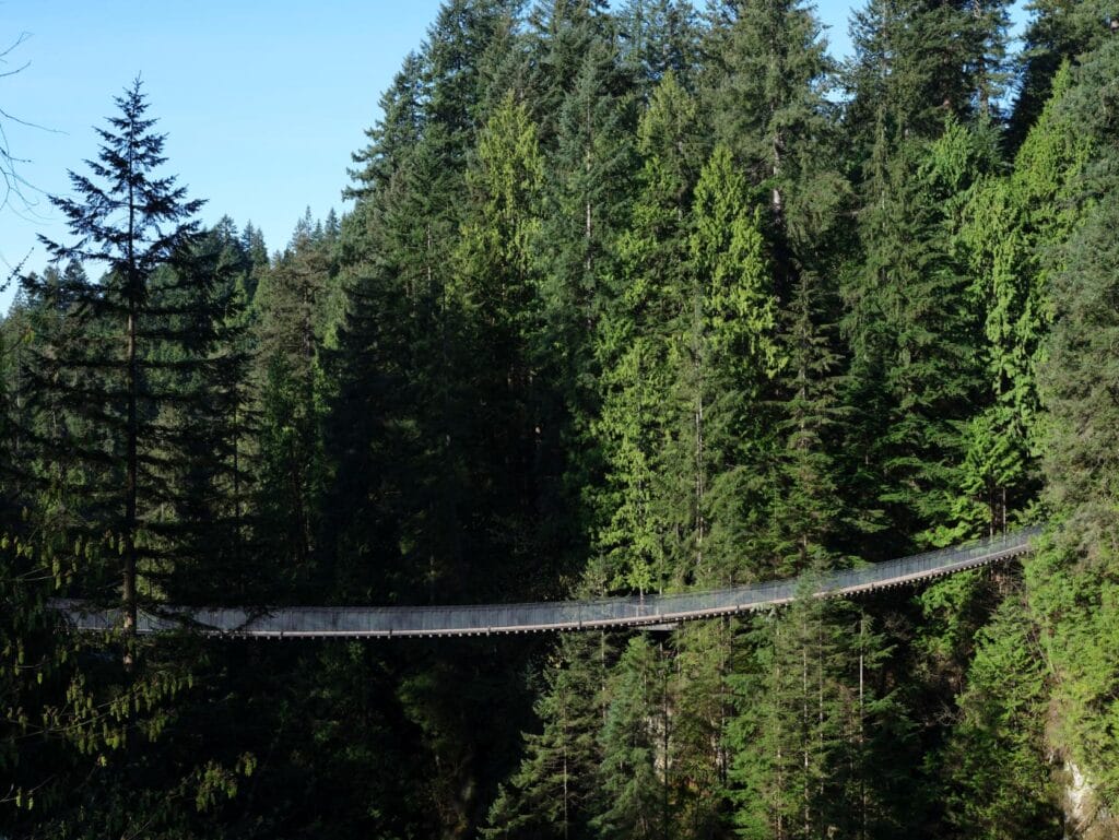 Capilano Suspension Bridge Park