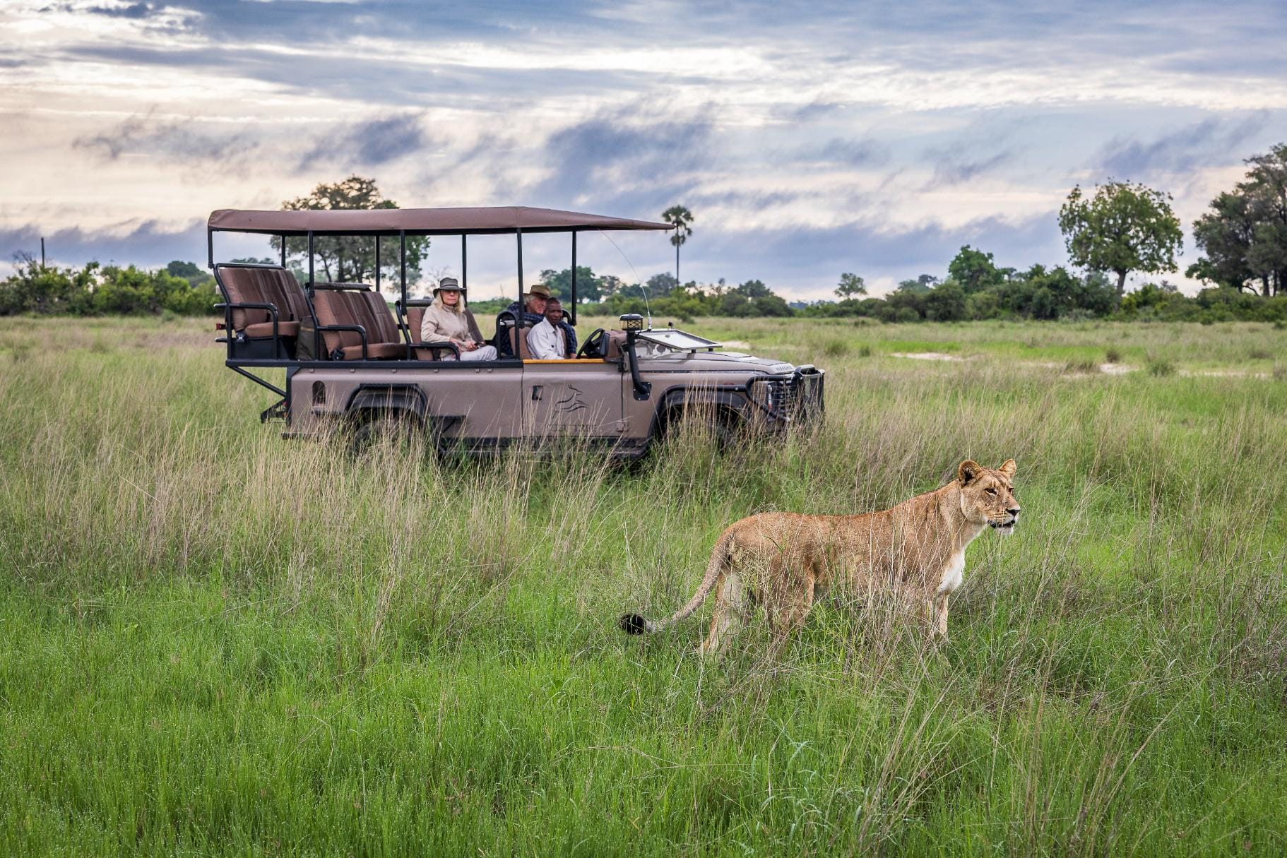 Open-sided safari vehicle with tiered seating holds a small group of tourists