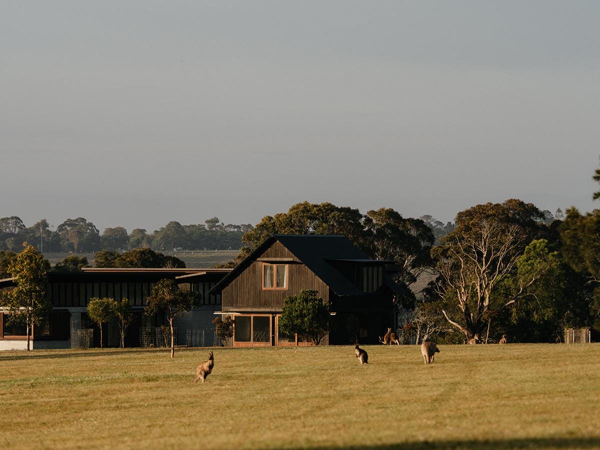 Somnium: 44 acres, absolute solitude and kangaroos at the gate Somnium: 44 acres, absolute solitude and kangaroos at the gate