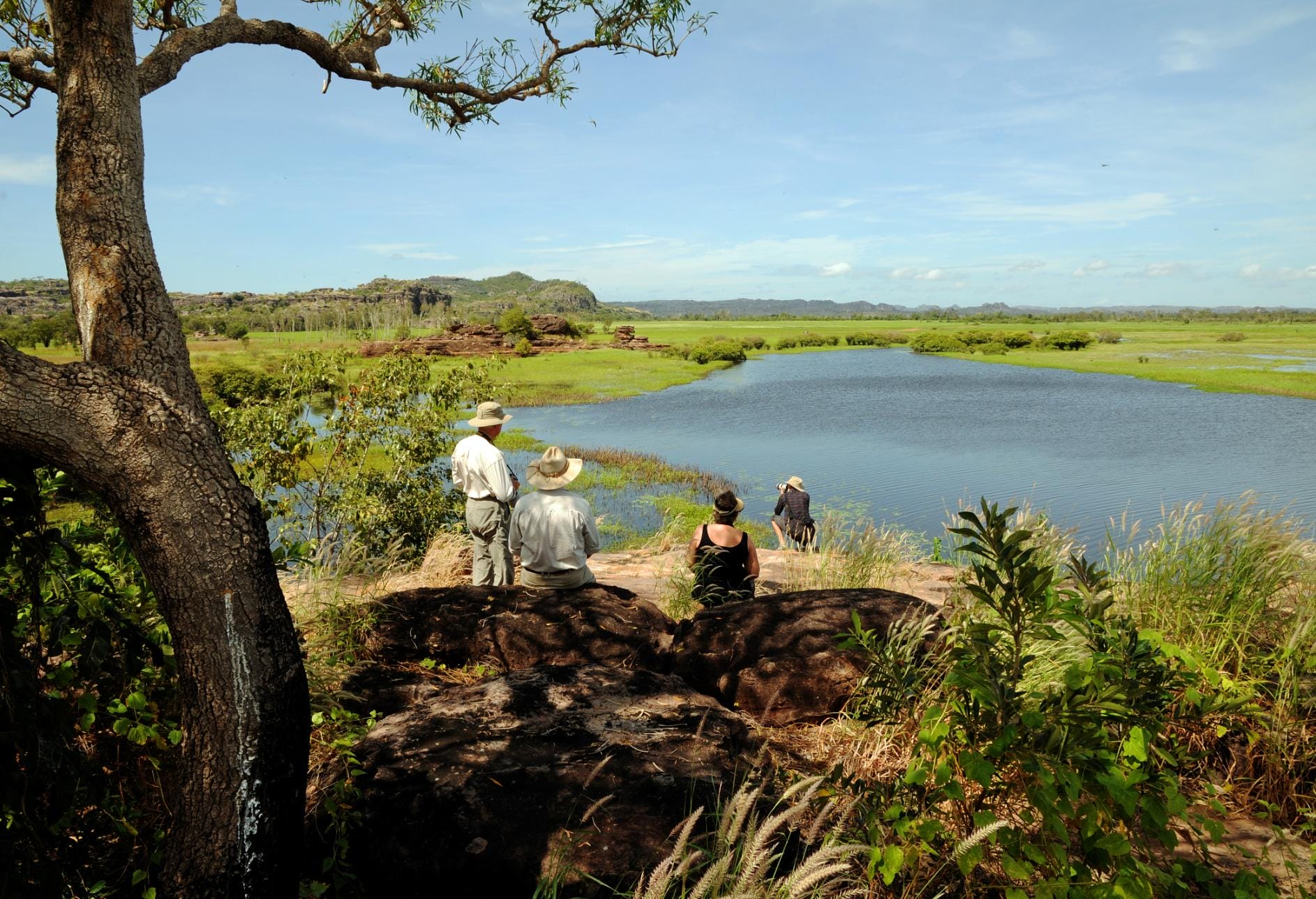 Bushwalk View at Bamurru Plains