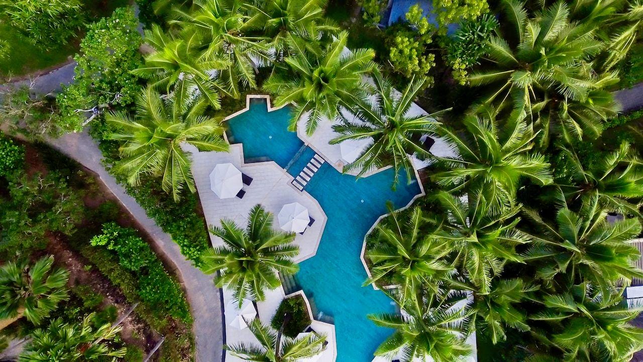 Infinity swimming pool and surrounding tropical palm trees at Likuliku Lagoon Resort